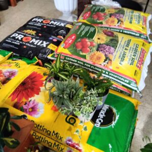 General Potting Mixes