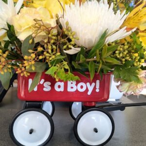 Baby Rides (Boy or Girl)