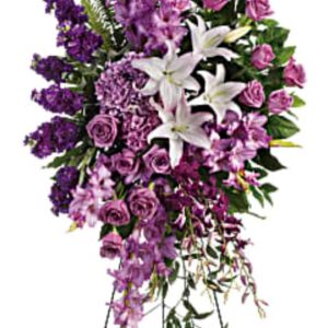 Purple Garden